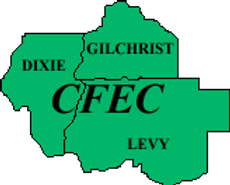 Central Florida Electric Cooperative, Inc.